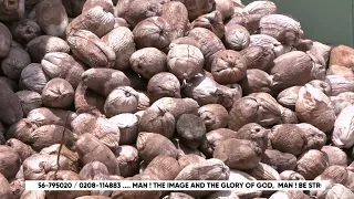 BIGGEST COCONUT OIL FACTORY IN GHANA BUILT BY THE CHURCH OF PENTECOST, ATWEREBOANA DISTRICT