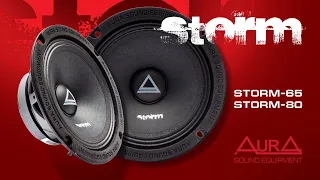 Эстрадная акустика AurA STORM-65 и AurA STORM-80