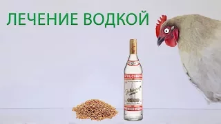 ЛЕЧЕНИЕ КУР ВОДКОЙ (часть 14)  Реальный опыт лечения и профилактики куриных заболеваний