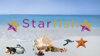 Starfish Cayo Largo Cuba. All included. (The entire complex in one video.)#beach