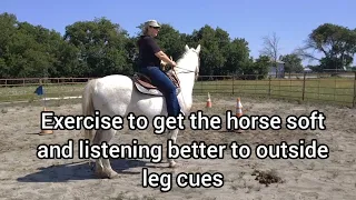 Exercise at a walk and a trot to help a horse work better off the outside leg and be softer