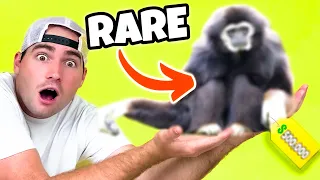 I GOT A RARE ENDANGERED MONKEY ! WHAT IS IT ?!