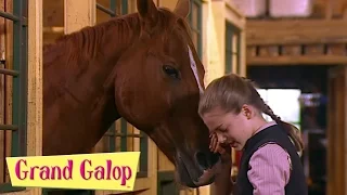 Grand Galop - Un choix respectable et Une fin en beauté | Grand Galop Saison 2