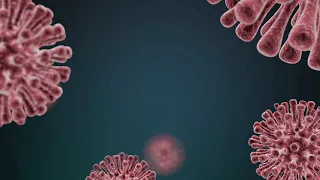 COVID-19 Virus research by using cell culture