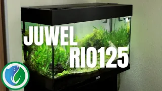 Juwel Rio 125 - ein gutes Aquarium für Anfänger?