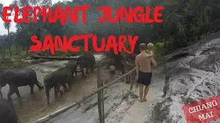 Elephant Jungle Sanctuary Chiang Mai | Playing with elephants | THAILAND travel