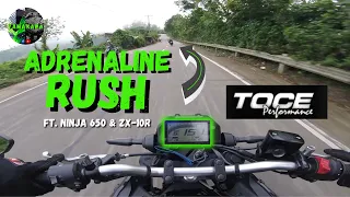 YAMAHA MT-03 FULL REVS | PURE SOUND | TOCE EXHAUST | CEBU