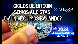 Ciclos de bitcoin 💎 Alcistas o bajistas !?