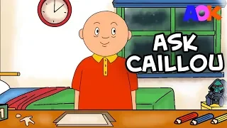 CAILLOU THE GROWNUP AMA