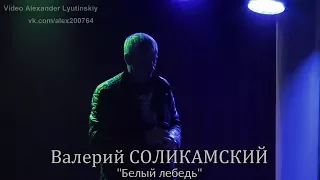 Валерий СОЛИКАМСКИЙ - "Белый лебедь"