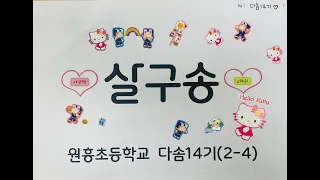 다솜14기 살구송