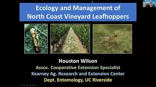 26th IPM Seminar #9: Ecology & Management of North Coast Vineyard Leafhoppers w/Houston Wilson