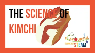 The Science of Kimchi Fermentation - Science - Flavourful Summer of STEAM