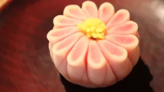 Traditional  Japanese Sweets Art:Amazing WAGASHI in Kyoto
