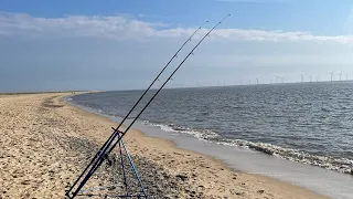 Beach Fishing Great Yarmouth, New species for the hunt, good day.