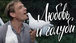 Liebe und Tauben (Komödie)