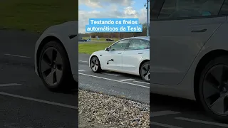 Um Tesla freia automaticamente para um cachorro!? 🐶