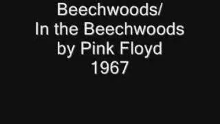 Pink Floyd - Beechwoods / In the Beechwoods