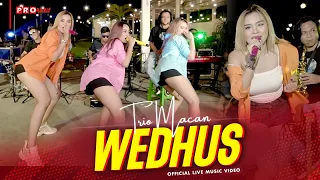 Wedhus - Trio Macan (Official Music Video) | Live Version