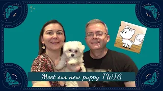 Meet Twig: Your Ultimate Guide To Our Adorable New Puppy! [CC]
