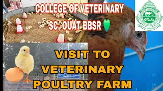 Poultry farm house🐣🐓//COLLEGE OF VETERINARY SC & A.H.,OUAT,BBSR 💚