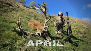 April, Red Stag Hunting New Zealand.