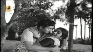 Paala Pitta Song -  Athalu Kodallu Movie Songs - Krishna, Vanisri