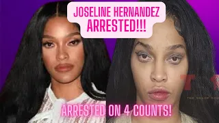 Joseline Hernandez ARRESTED! Love & Hip Hop star is arrested on 4 counts!