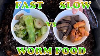 What Foods Do Compost Worms Break Down Fastest? Vermicompost Worm Farm