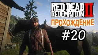 Прохождение Red Dead Redemption 2 #20