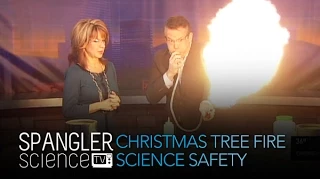 Christmas Tree Fire: Science Safety - Cool Science Experiment