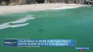 Shark bites swimmer off Northern California beach