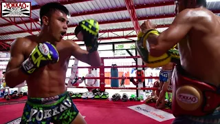 Muay Thai: Manachai training 1 min pads/1 min sparring with Singdam - YOKKAO Training Center Bangkok