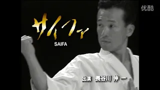 Kata saifa and bunkai