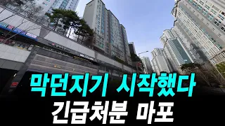 막던지기 시작했다 긴급처분 마포