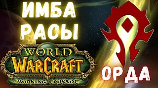 Какую расу выбрать? | Орда | WoW Classic TBC