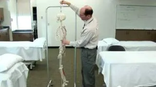 Ask UNMC: Defining good posture