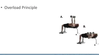 ACSM Guidelines Resistance Training