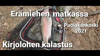 Kirjolohen kalastus 2021|Puolakankoski| DropShot Fly |3,3kg kirjolohi