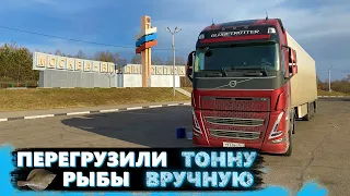 Шефа не кинул! Прилетел в Хабаровск. 25 тонн рыбы. Строгий весовой контроль