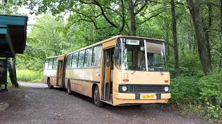 Поездки на автобусе Ikarus 280.03 АК 746 46