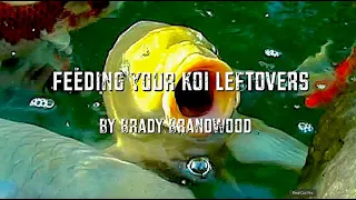 Feeding Your Koi,... Leftovers & Natural Foods,...