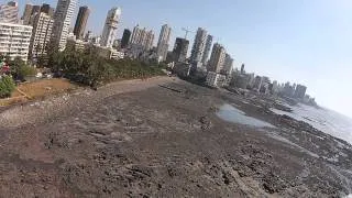 Afternoon Flight Over Breach Candy