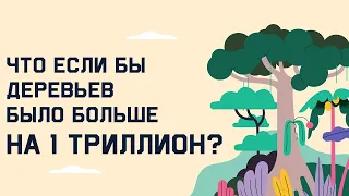 Edu: Что если бы деревьев было больше на 1 триллион?