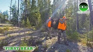 Canadian Black Bear Archery Hunt