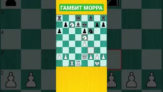 Настоящий гамбит Морра - это всегда жертвы #shorts