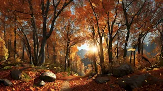 Autumn - Sounds of Rustling Leaves Falling and Wind Blowing through the Forest Trees in Late Autumn