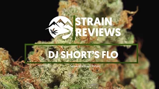 Strain Profile: DJ Short's Flo