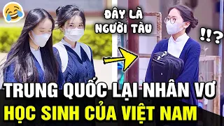 Hết See tình, đến cả Học sinh Việt Nam cũng bị Netizen Trung Quốc NHẬN VƠ luôn là của mình | TÁM TV