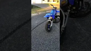 PW80 Pitbike!! (One of a kind *most modified in Australia!?!)